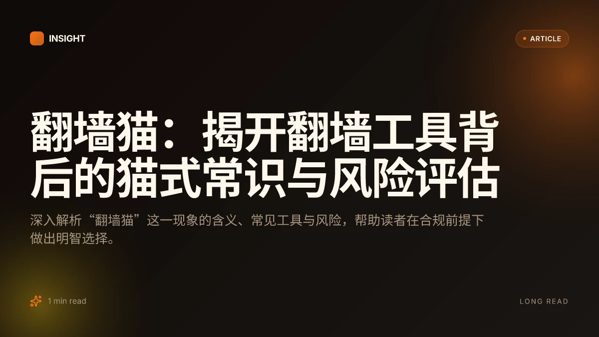 翻墙猫:揭开翻墙工具背后的猫式常识与风险评估